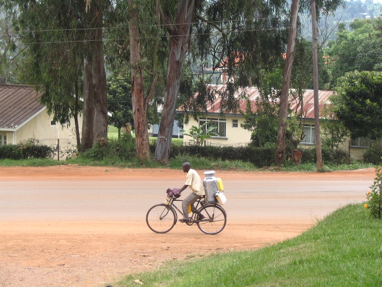 Man on bike